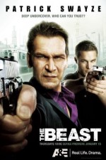 Watch The Beast Letmewatchthis